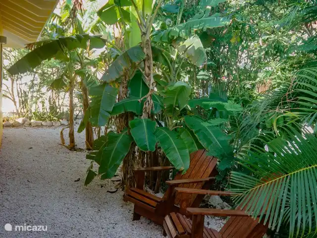 Maison heureuse | Curaçao, Banda Abou (ouest), Fontein - maison de vacances