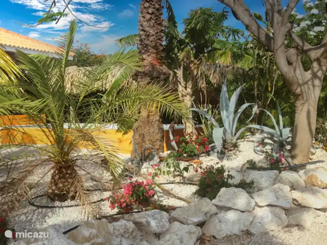 Maison heureuse | Curaçao, Banda Abou (ouest), Fontein - maison de vacances
