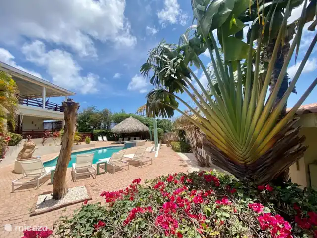 Location de Vacances Curaçao, Banda Ariba (est), Jan Thiel, penthouse - Vue à 360° de l'application Penthouse 6 piscine