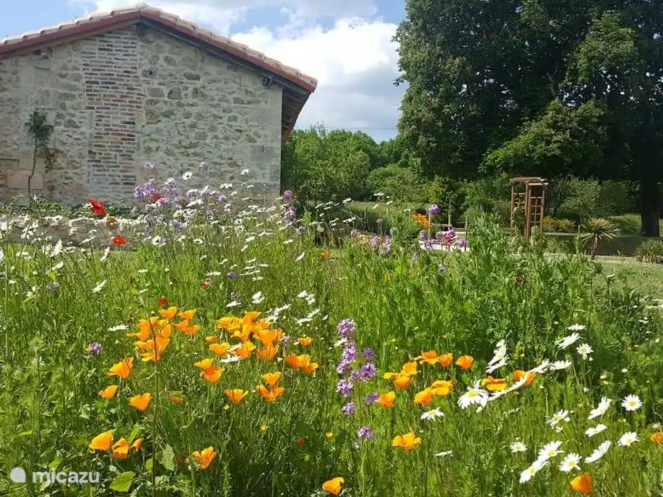Gut gepflegte Gärten