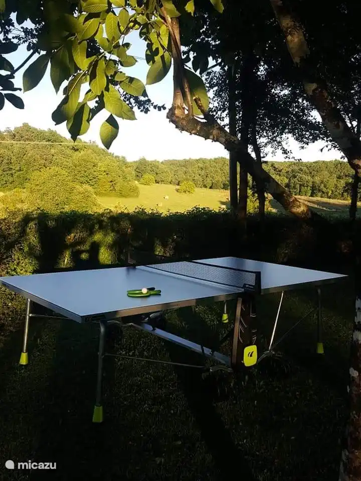 Tischtennis mit freiem Blick.