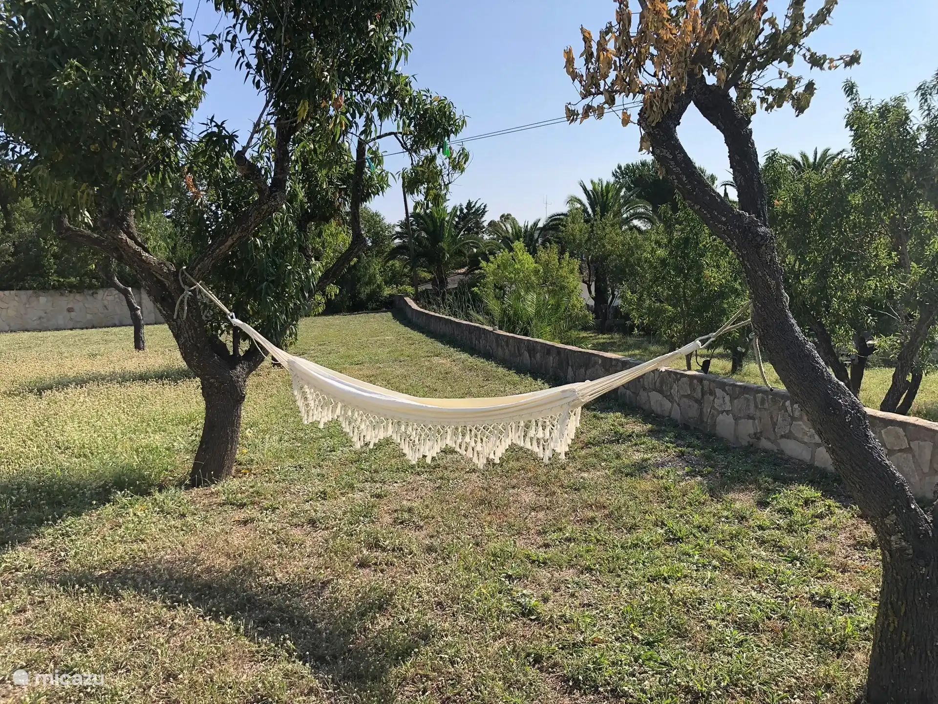 Ruhe in der Hängematte