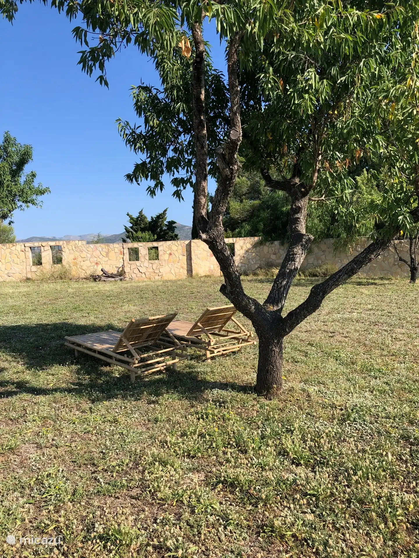 Entspannen Sie sich im Garten