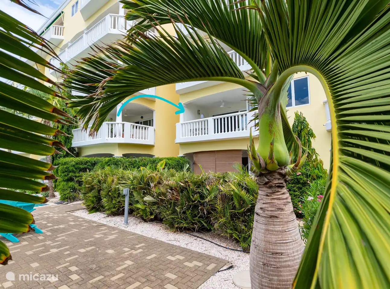 Vue depuis la piscine de l'appartement. La flèche bleue pointe vers l'appartement.