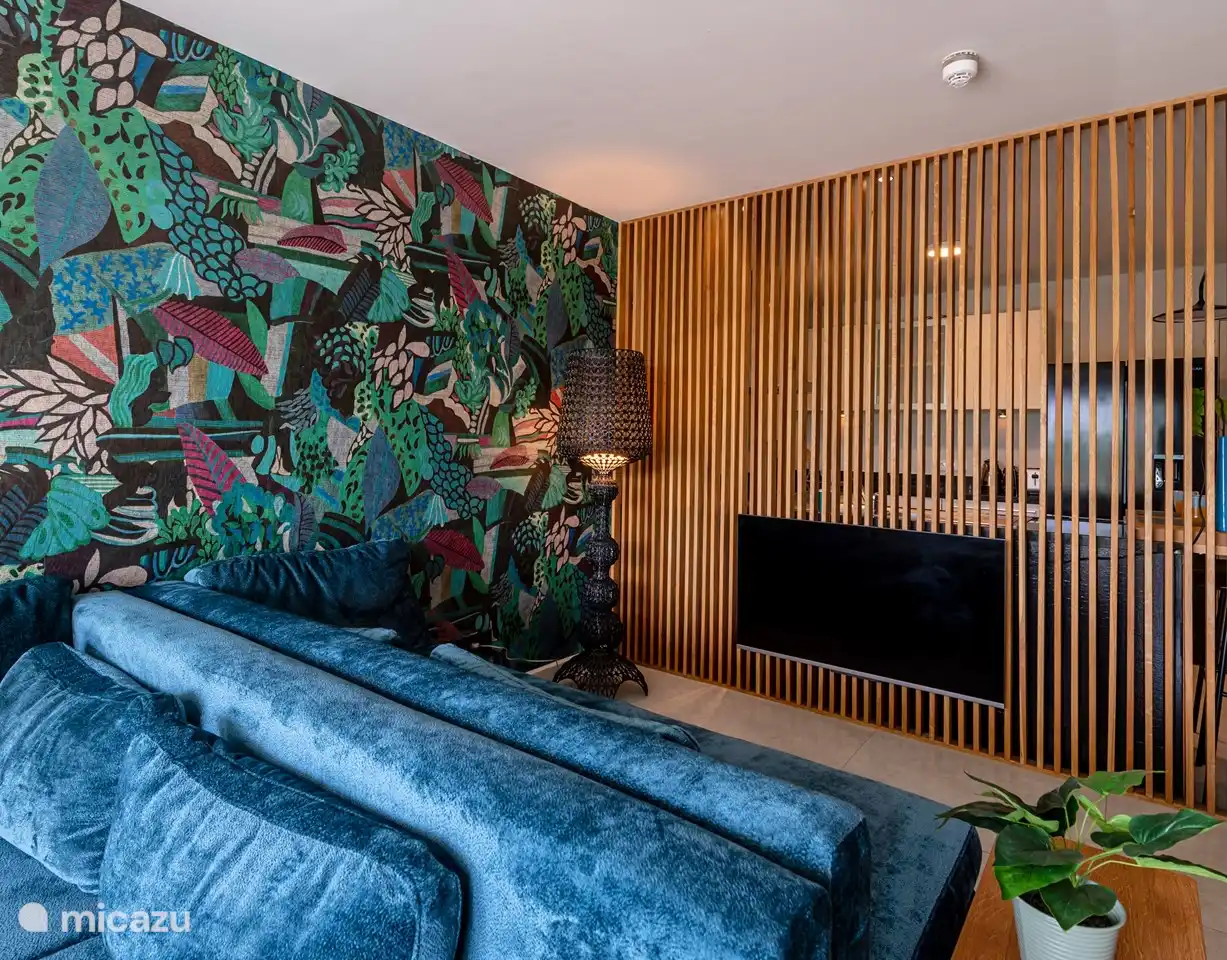 Dans le salon, il y a un canapé lounge destiné à la télévision (intelligente) et un canapé lounge destiné à l'extérieur.