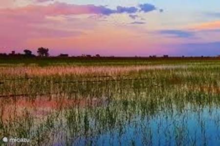 Natuurpark Ebro Delta (rijstvelden, exotische vogels)
