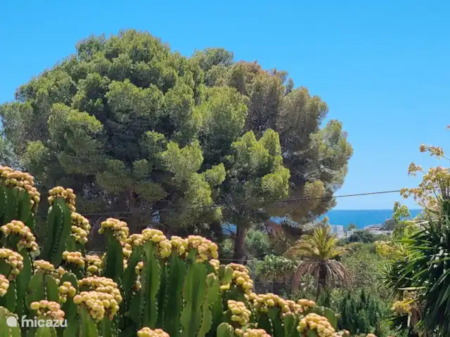 Villa Faisán en España, Costa Blanca, Moraira - villa Vista al mar desde el salón y la naya.