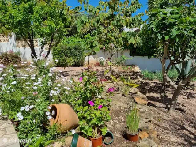 Villa Faisán en España, Costa Blanca, Moraira - villa El jardín