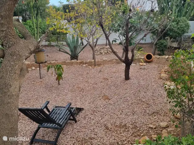 Villa Faisán en España, Costa Blanca, Moraira - villa El jardín con árboles frutales.