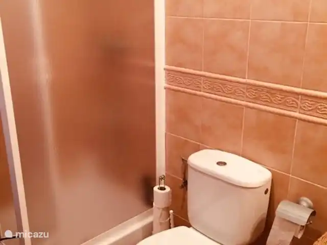 Casa José Ramón en España, Costa Dorada, Tarragona - casa vacacional Cuarto de baño en la planta baja, con inodoro, lavabo y ducha.