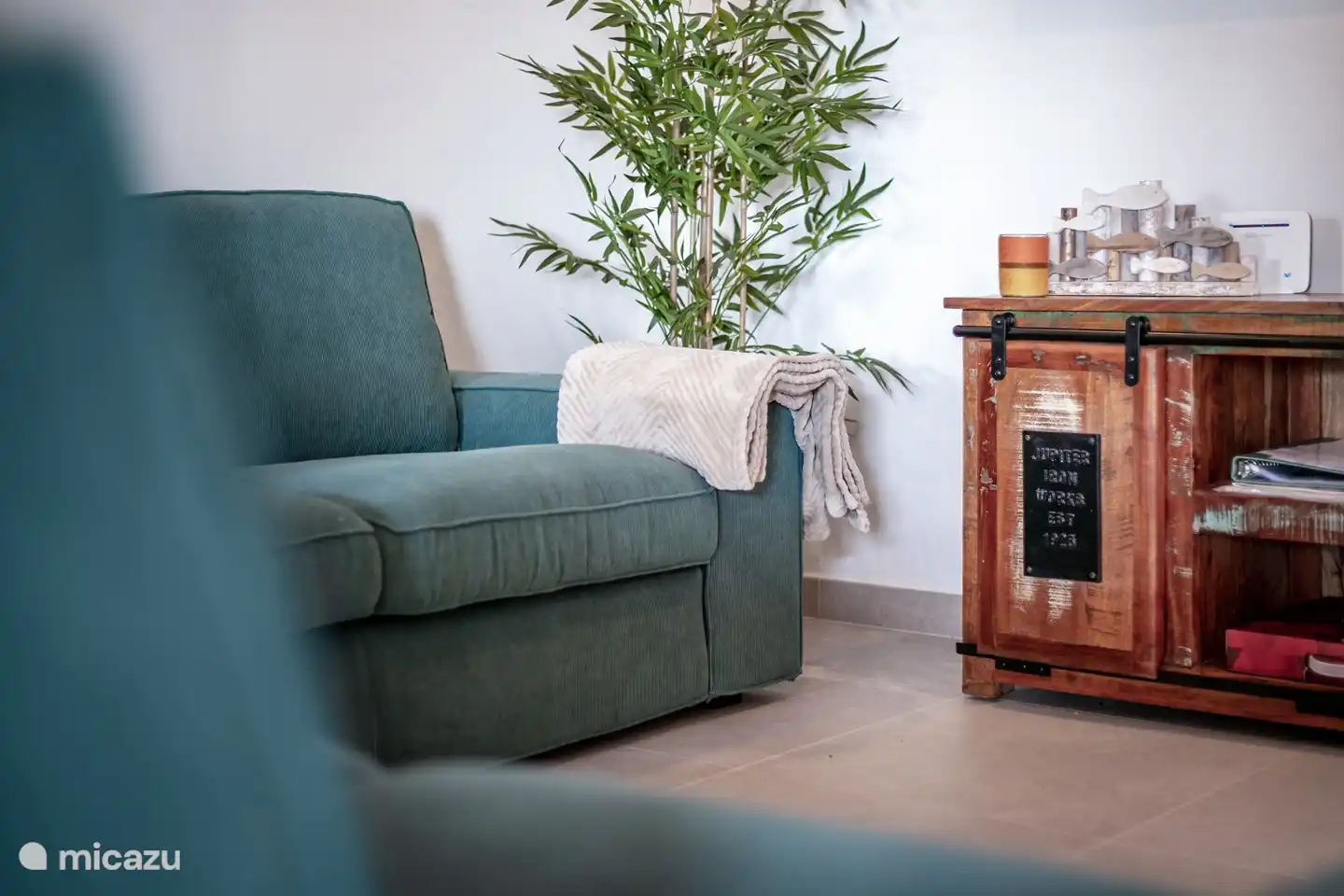 salle de télévision