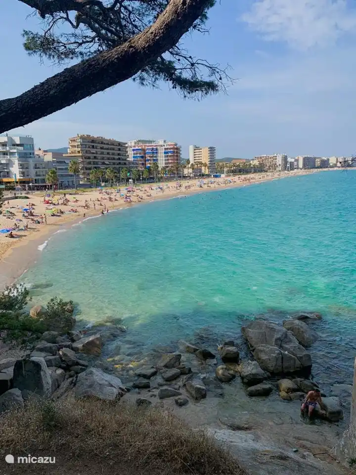 Plage Calonge et Palamos, plein de choses à faire en été. Le soir, dégustez de délicieux plats dans les nombreux restaurants ou promenez-vous sur le vaste boulevard.