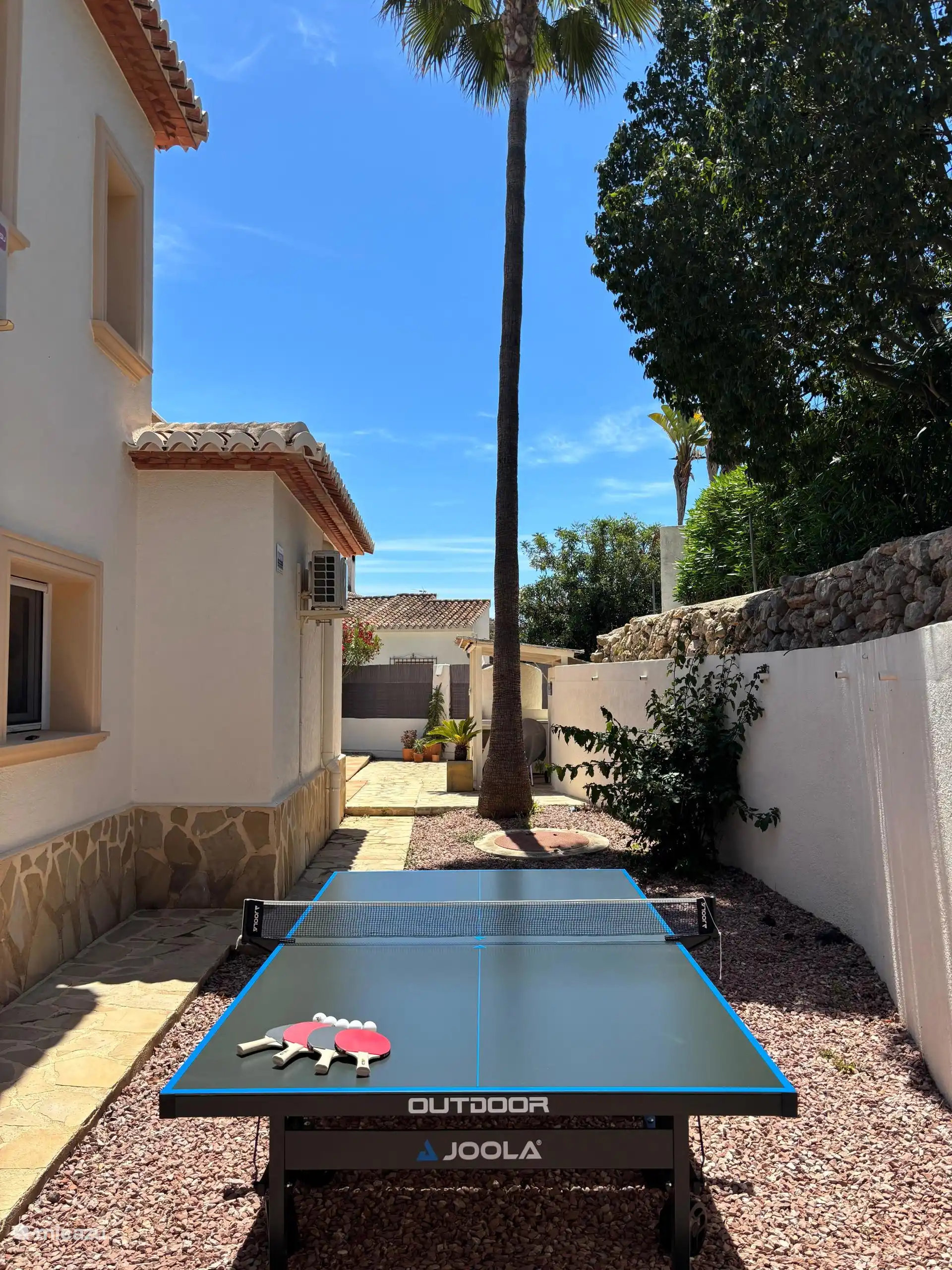 ¡Nueva mesa de ping-pong!