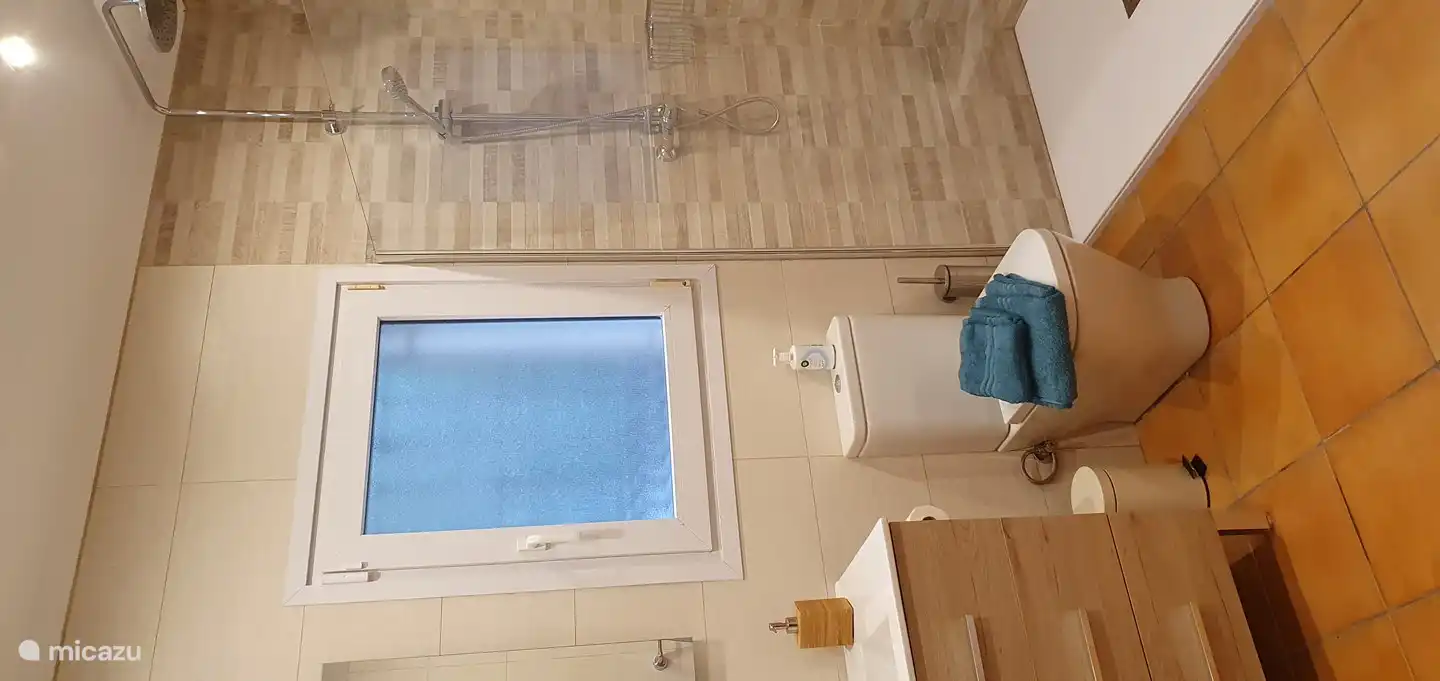 Baño en planta baja con plato de ducha