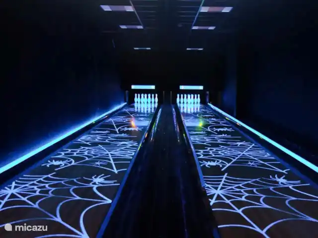 Maison de luxe 'De Boskant' | Pays-Bas, Overijssel, Gramsbergen - maison de vacances Des pistes de bowling qui brillent dans le noir.