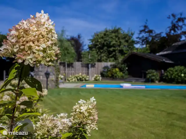 Belle bronzage | Pays-Bas, Limbourg, Wellerlooi - maison de vacances