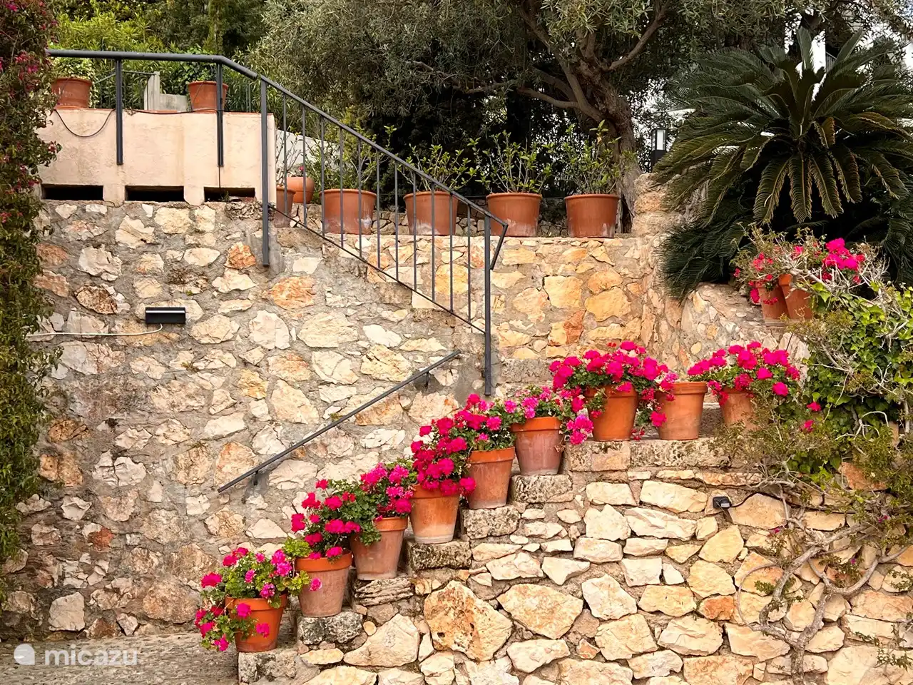 Stairs from garden to terrace and house.