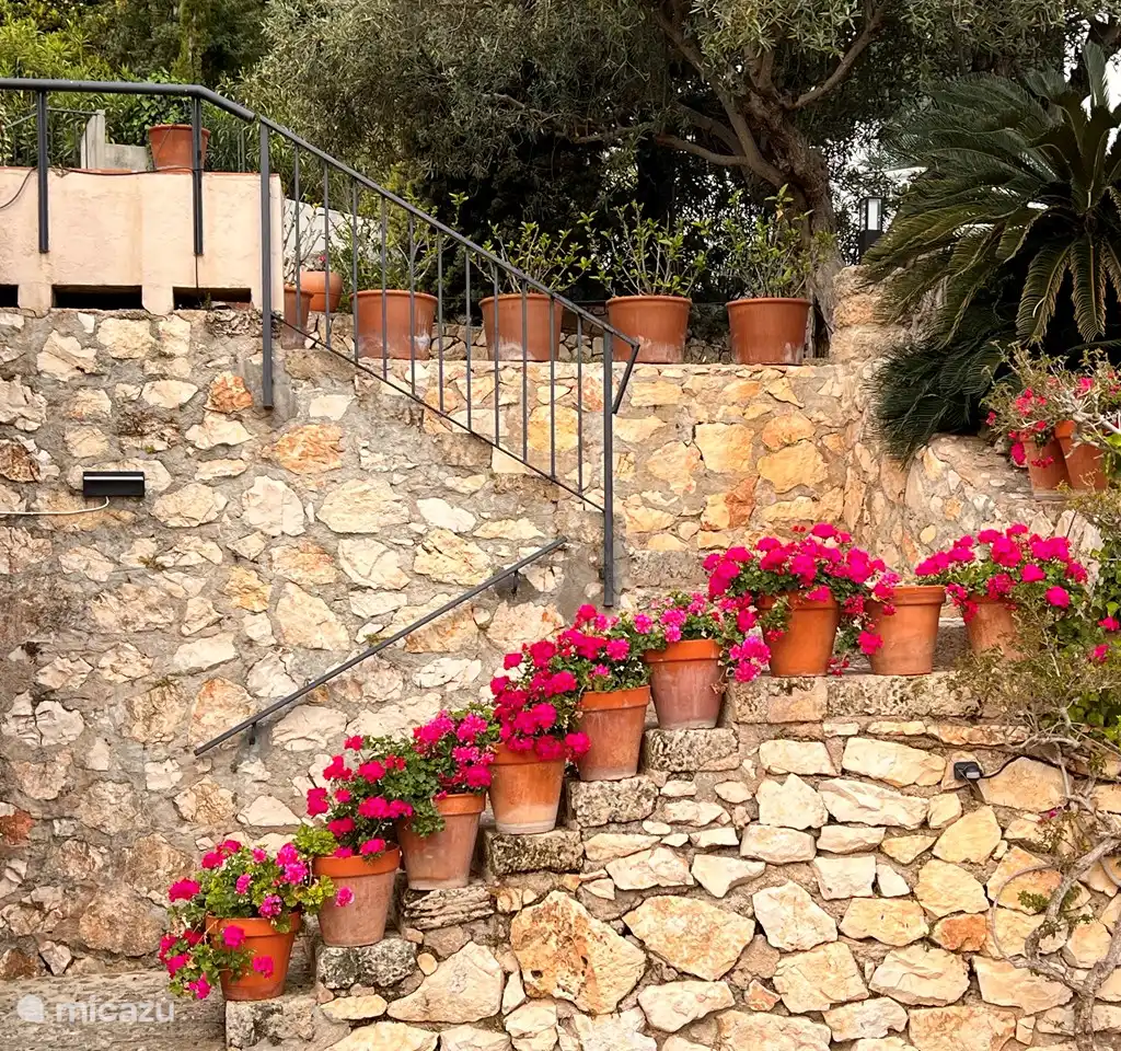 Villa Pomelo