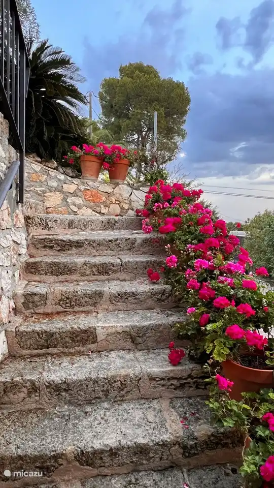 Stairs to terrace and entrance.