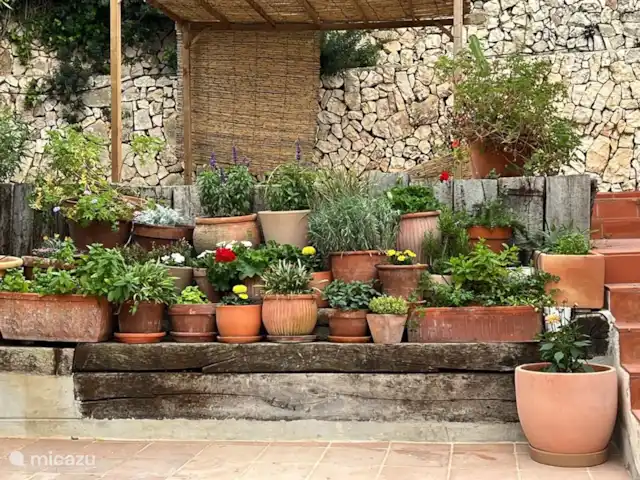 Villa Pomélo | Espagne, Costa Blanca, Jávea - villa Fleurs et herbes.
