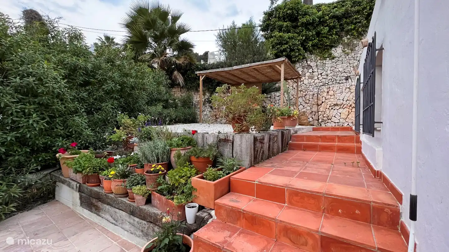 To the upper tun and citrus trees.