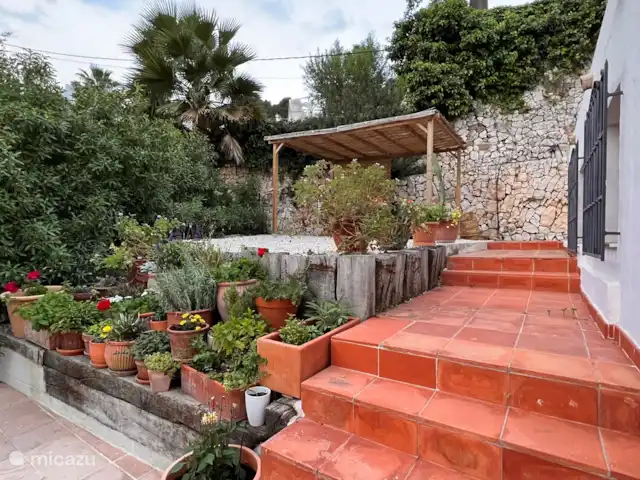 Villa Pomélo | Espagne, Costa Blanca, Jávea - villa Aux tonneaux supérieurs et aux agrumes.
