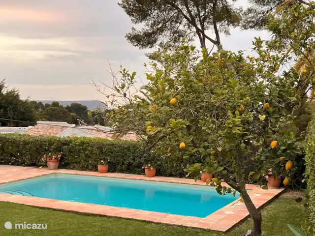 Villa Pomélo | Espagne, Costa Blanca, Jávea - villa Piscine et citronnier vus du côté cuisine.