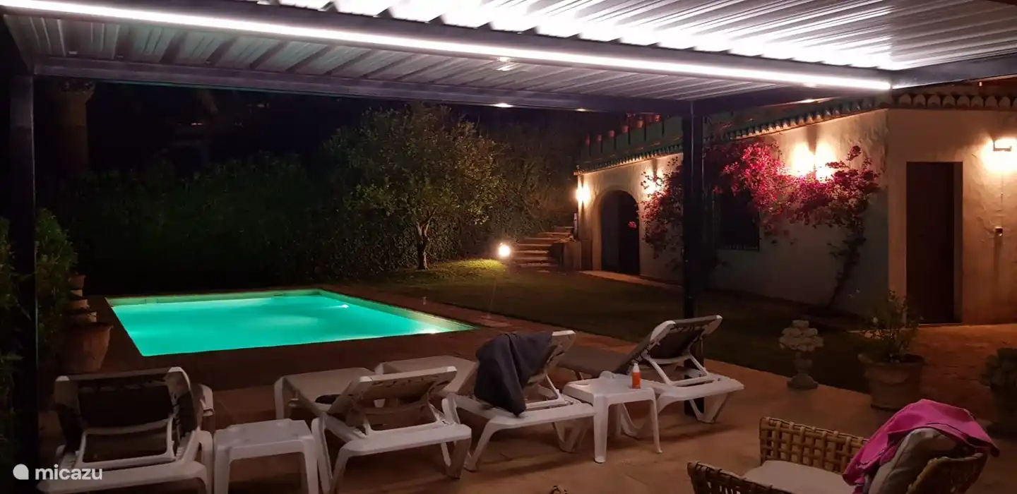 Lower garden in the evening.