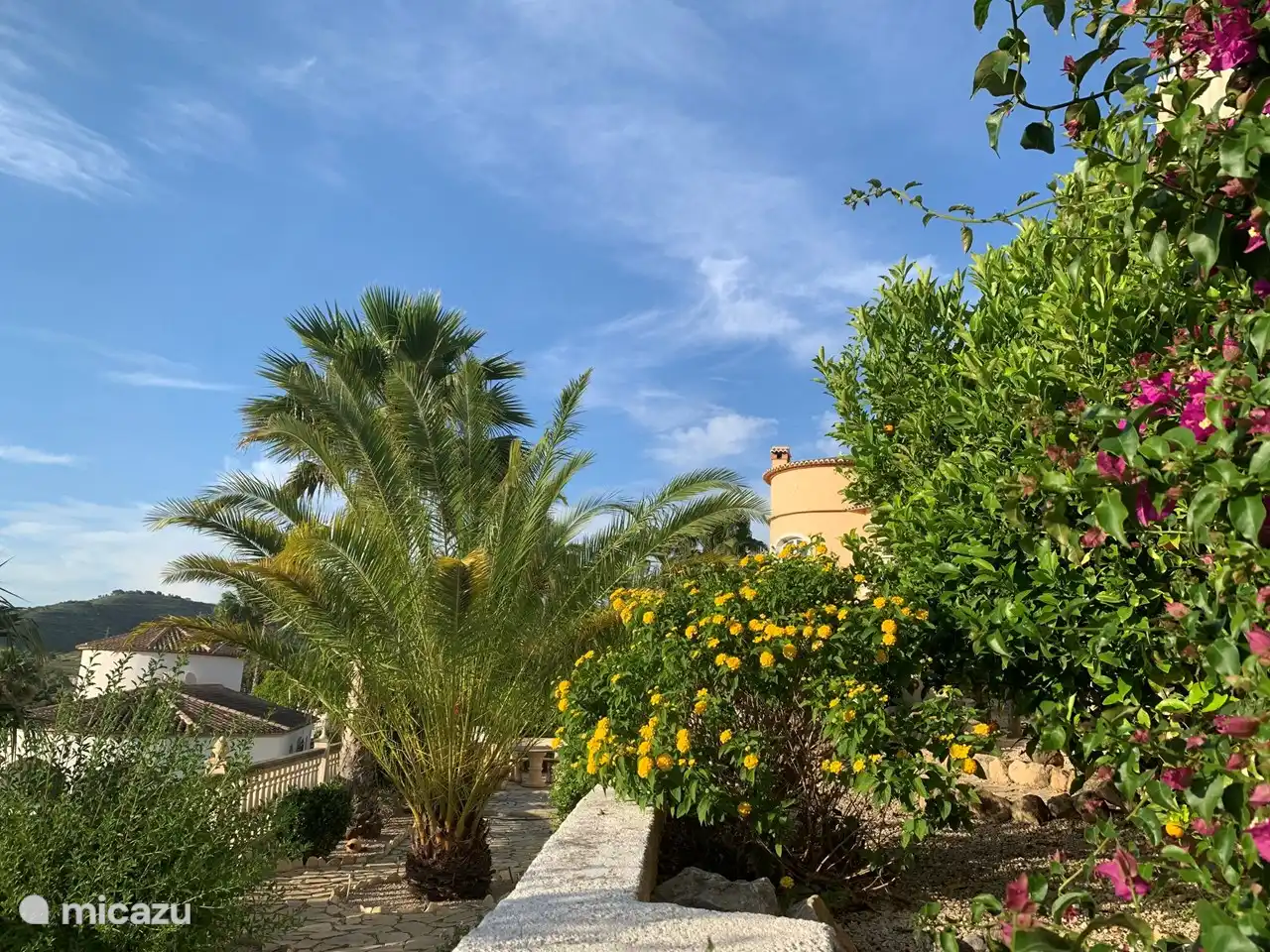 Mediterraner Garten mit Obstbäumen und Palmen