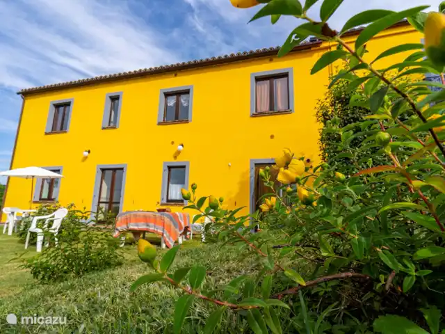 gîte / cottage huren in Italië, Marche, Cessapalombo – Appartement Ginestra Tuin
