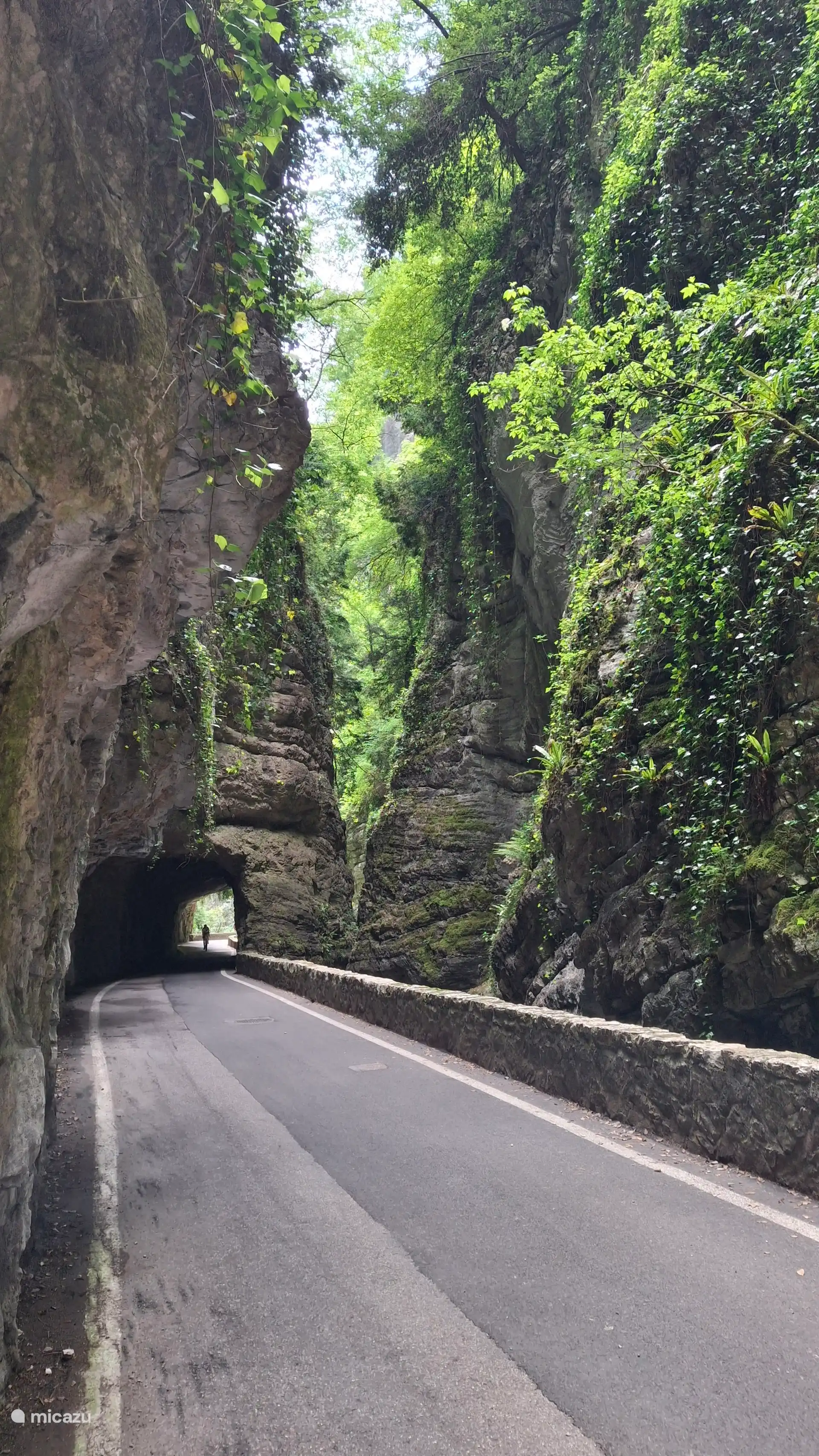 Strada della Forra