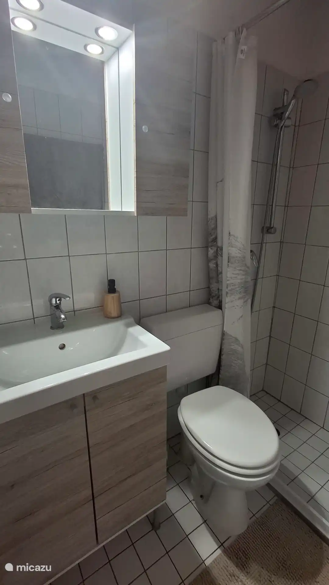 Badkamer met wastafel, douche en wc 