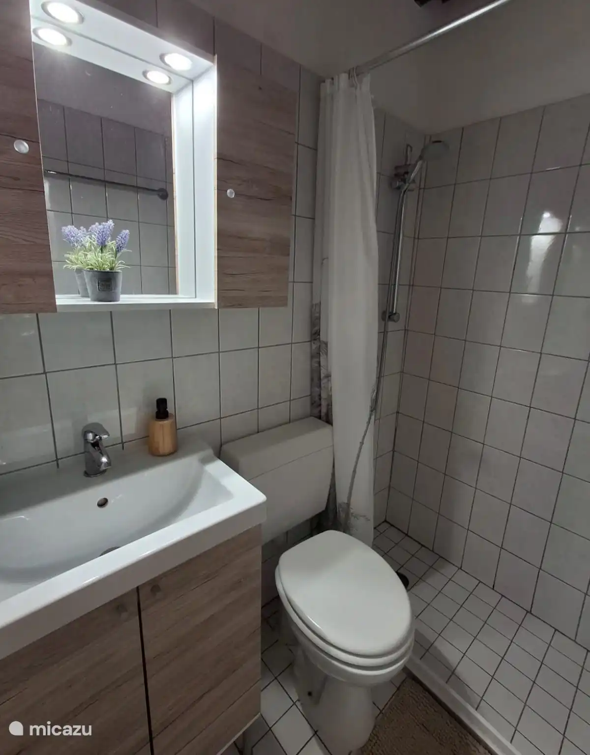 Baño con lavabo, inodoro y ducha