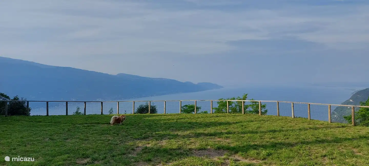 Su mascota también es bienvenida en el bungalow. En las afueras del pueblo de Tignale hay un campo vallado para pasear perros.