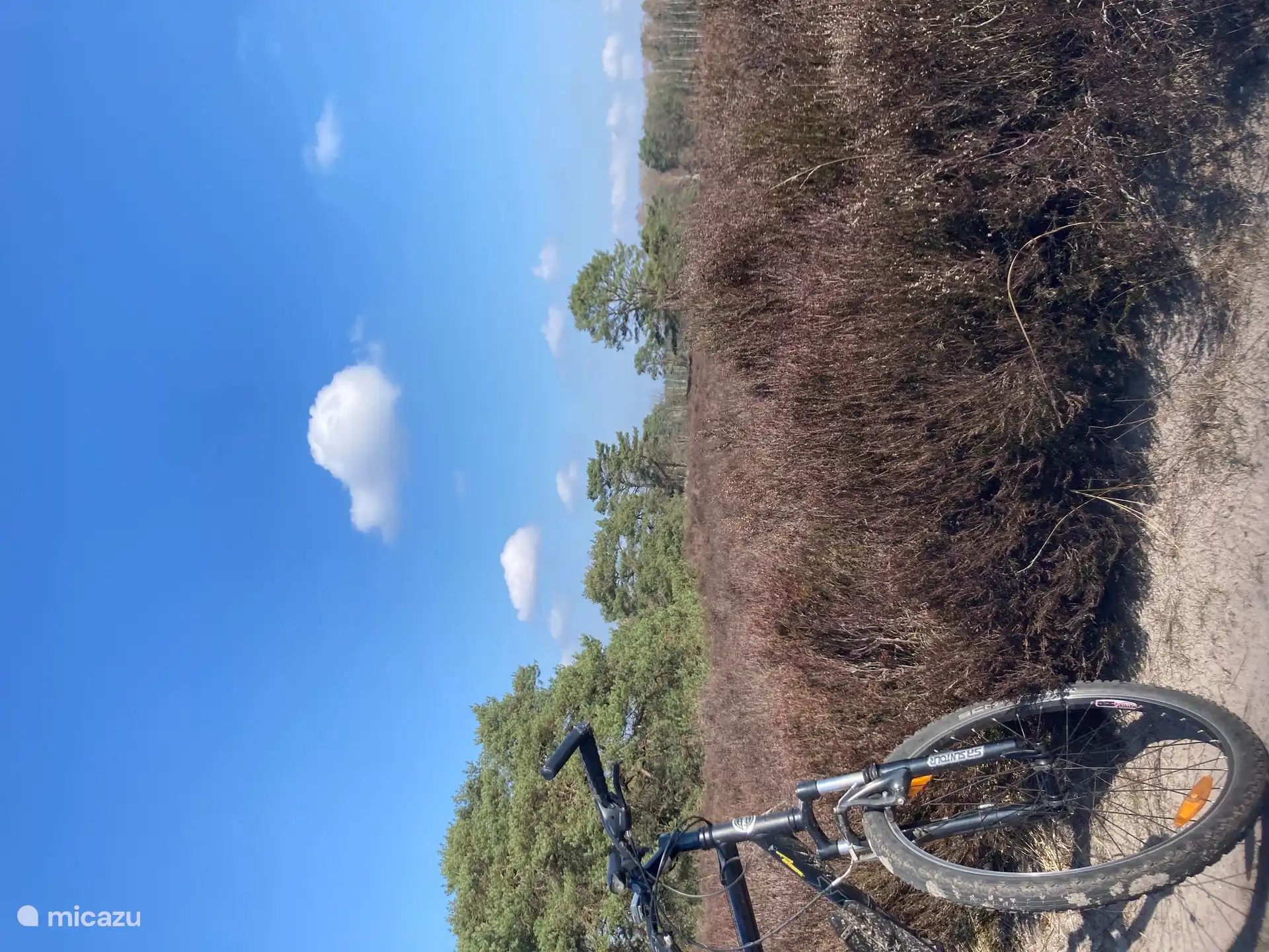 Heerlijk fietsen in de omgeving!