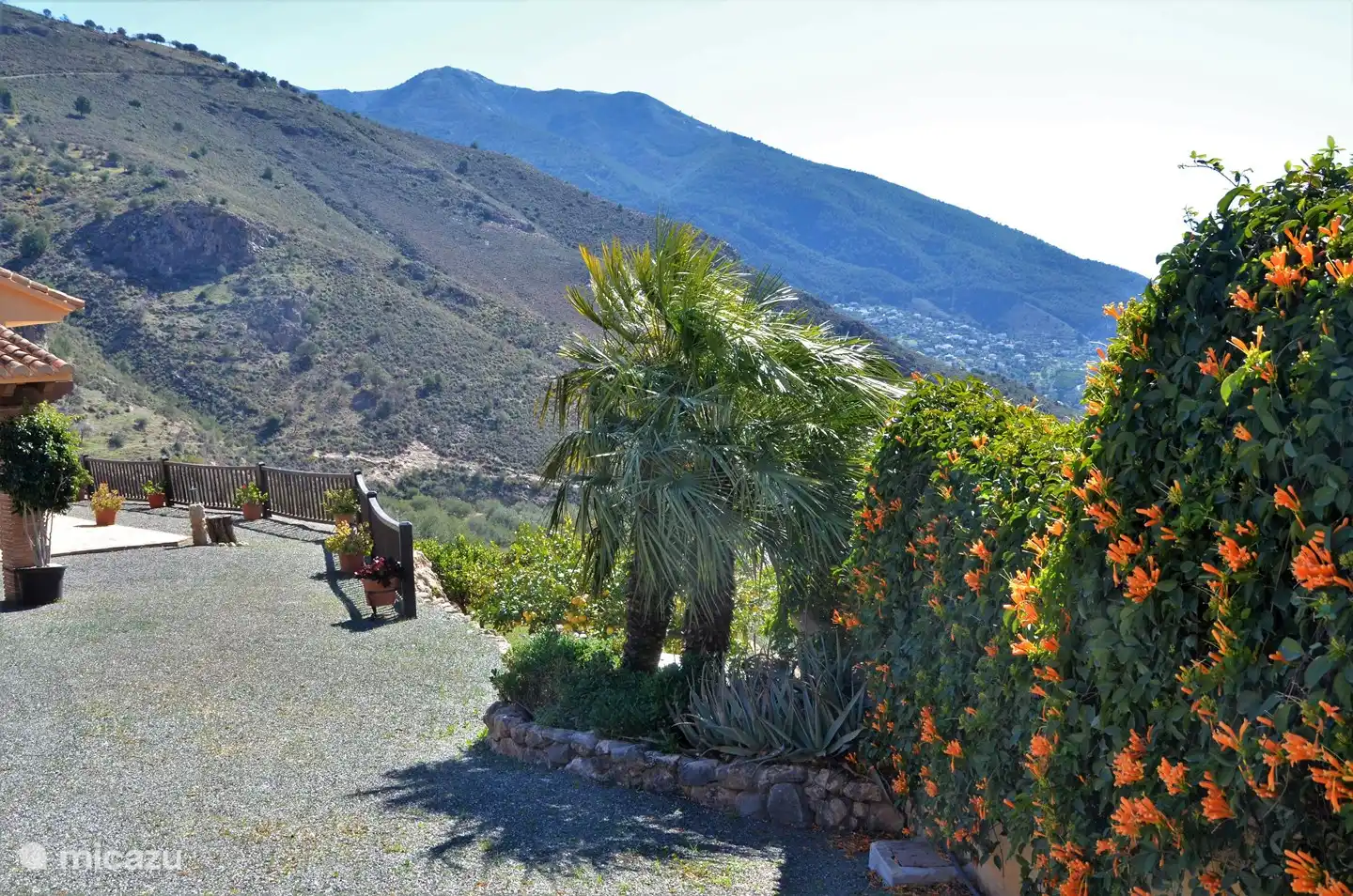 To the right of the house, a staircase leads you to the citrus garden ... for once you can be greedy.