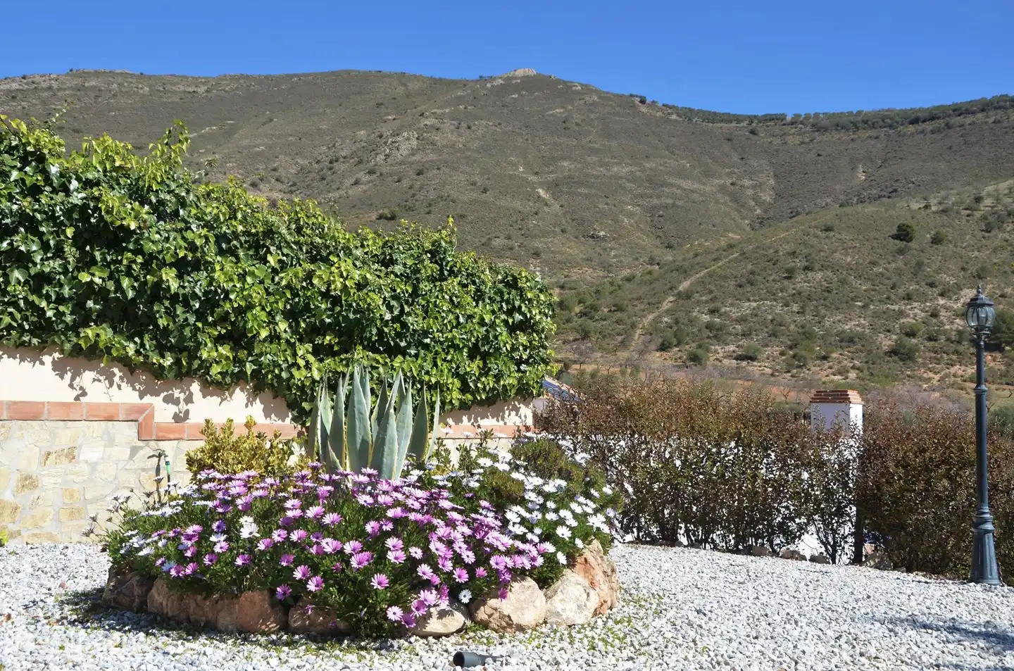 Enjoy our garden or a lovely walk in the immediate vicinity.