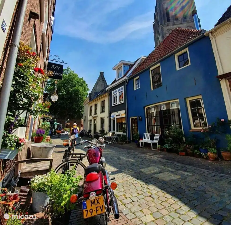 Doesburg Blue, in der Nähe des offiziellen Senfmuseums.
