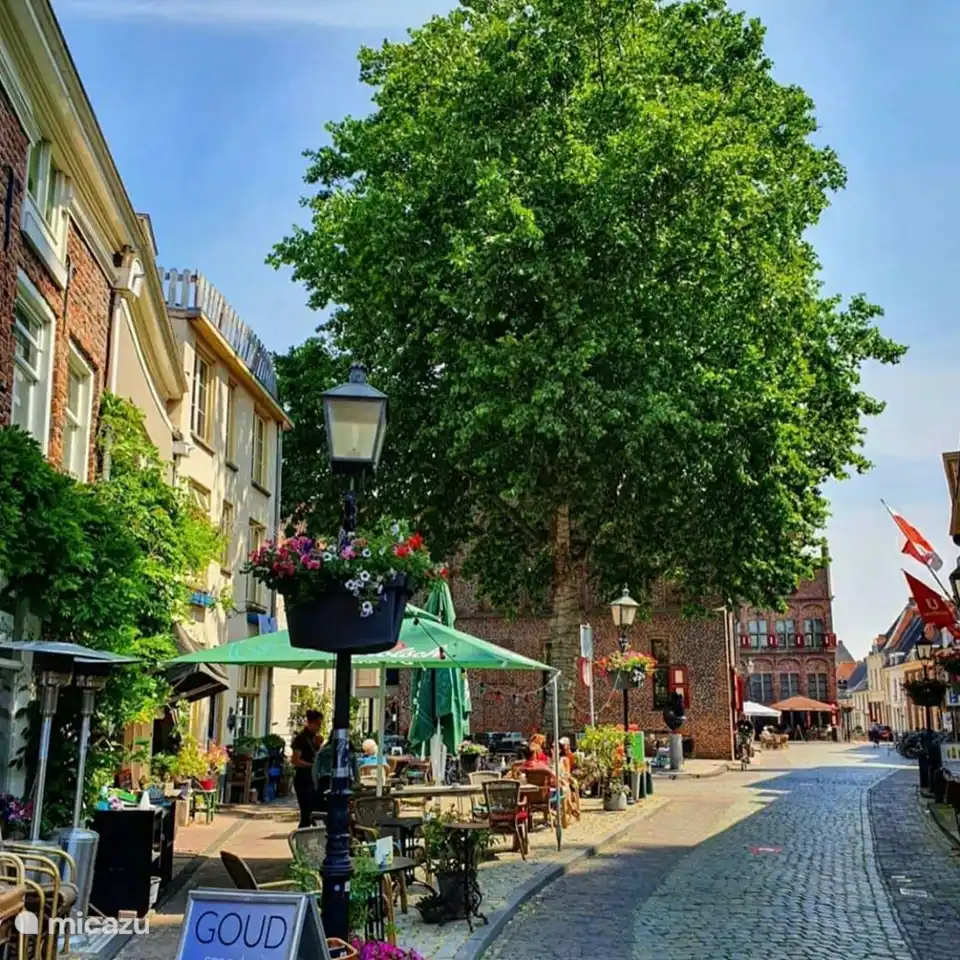 Kleine Gassen, viel Farbe und Gemütlichkeit im Zentrum von Doesburg.