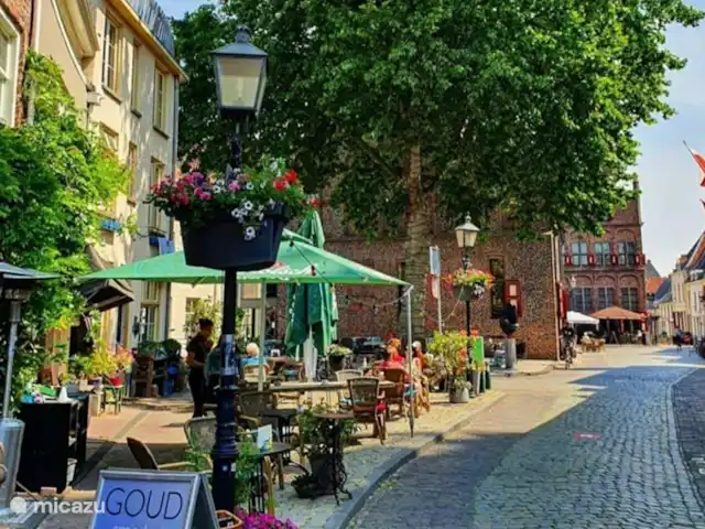 Het Griet en Países Bajos, Güeldres, Doesburg - casa vacacional Calles pequeñas, mucho color y calidez en el centro de Doesburg.