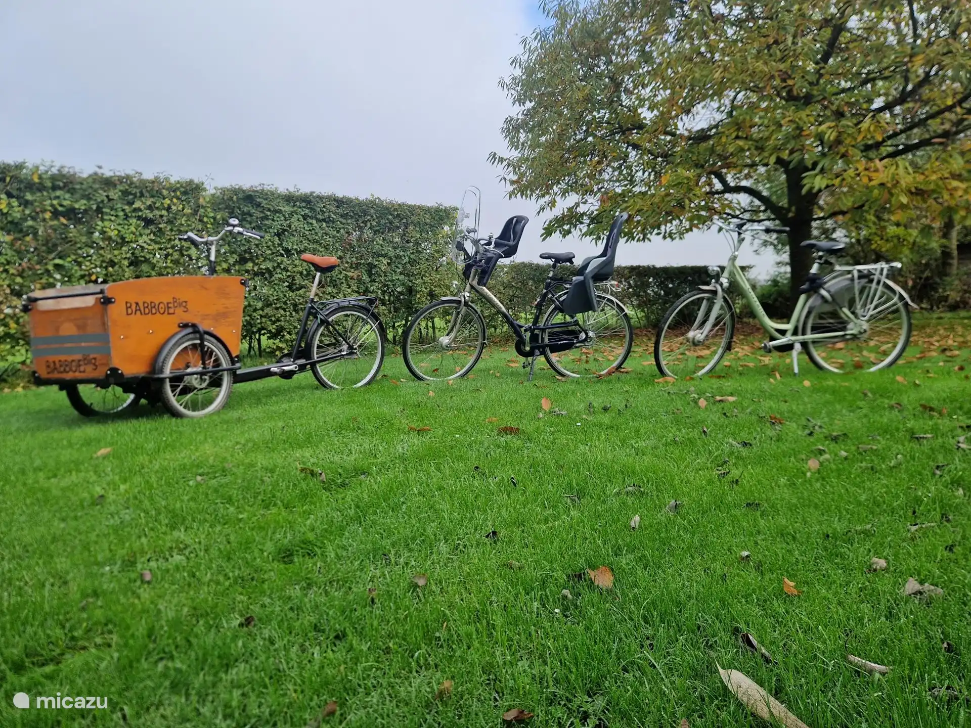 Es warten 2 Fahrräder auf Sie, von denen 1 über 2 abnehmbare Kindersitze verfügt. Sie können auch ein Lastenrad kostenlos nutzen.