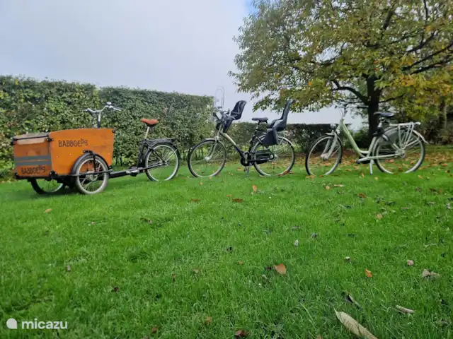 Het Griet en Países Bajos, Güeldres, Doesburg - casa vacacional Hay 2 bicicletas esperándote, 1 de las cuales tiene 2 asientos infantiles extraíbles. También puede utilizar una bicicleta de carga de forma gratuita.