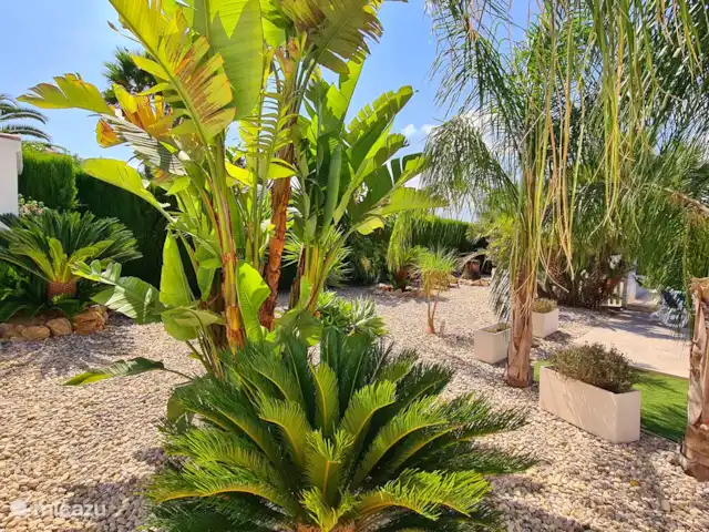 La Quimera Jávea huren in Spanje, Costa Blanca, Jávea - villa Tuin met bijzondere planten, ook een aantal fruitbomen.