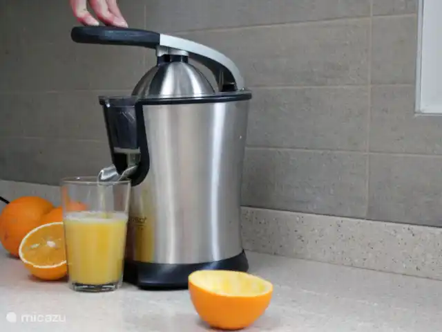 La Quimera Jávea huren in Spanje, Costa Blanca, Jávea - villa Citruspers