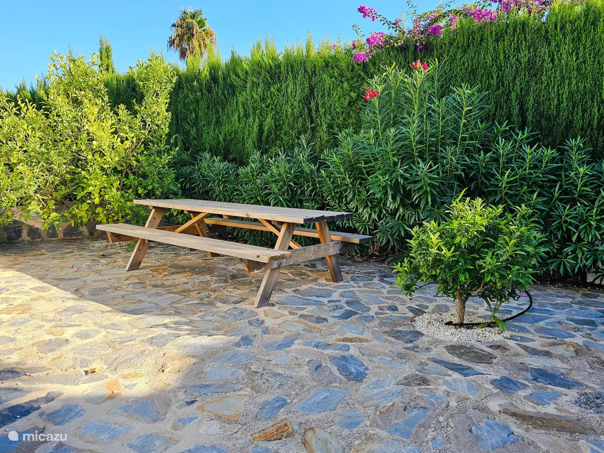 Picknickhoek naast fruitbomen.