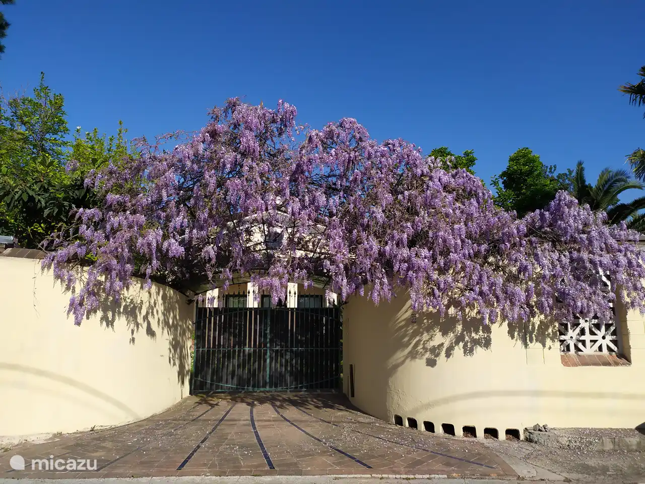 Das mit Glyzinien bewachsene Tor