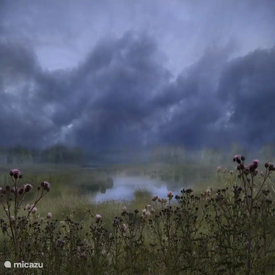 Natuurgebied Bargerveen