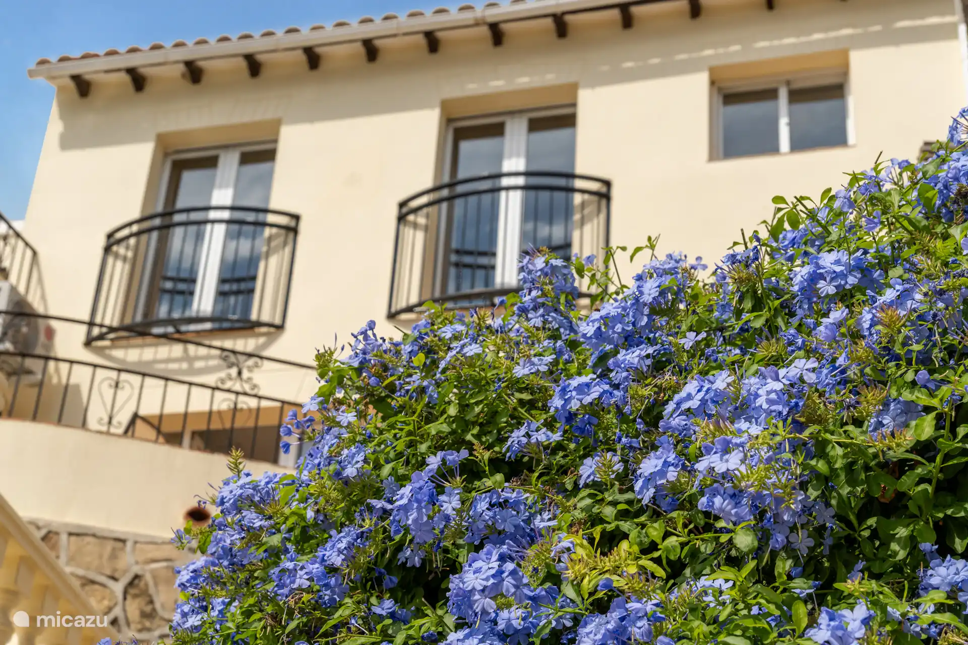 Gartenansicht des Hauses