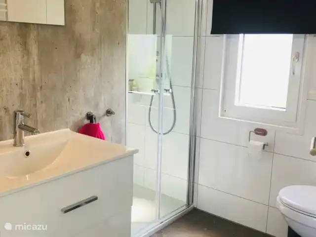 LuxChalet VAJU Lathum meer & zwembad huren in Nederland, Gelderland, Lathum - chalet Badkamer