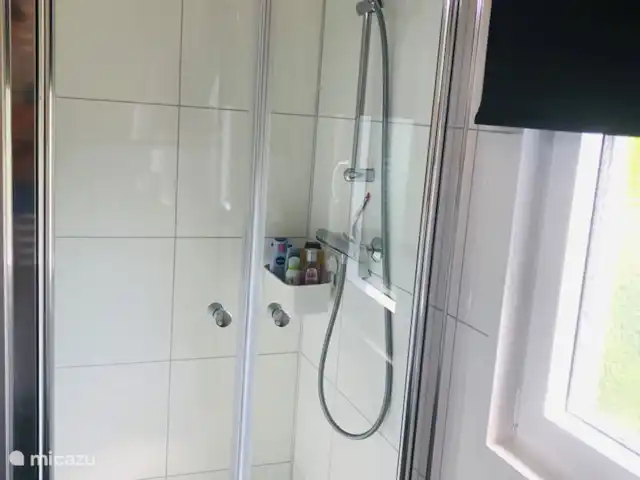 LuxChalet VAJU Lathum meer & zwembad huren in Nederland, Gelderland, Lathum - chalet Badkamer